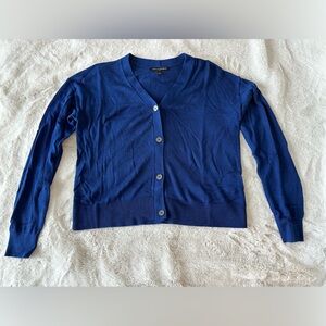 Royal Blue Banana Republic V neck sweater